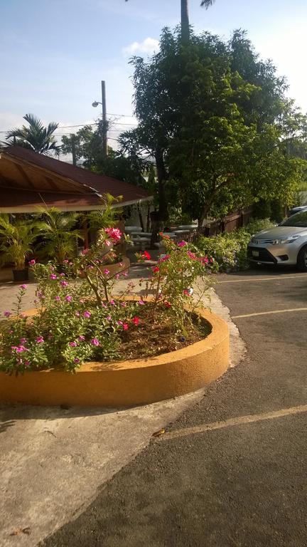 Palm Bay Guest House & Restaurant Montego Bay Kültér fotó